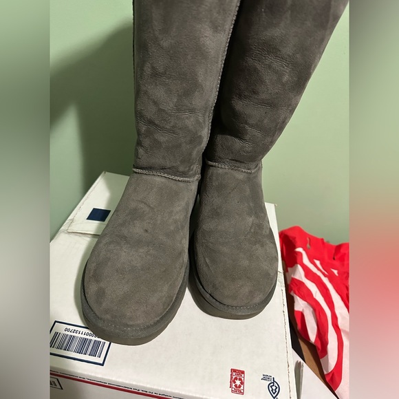 EUC Gray Uggs - Picture 11 of 16